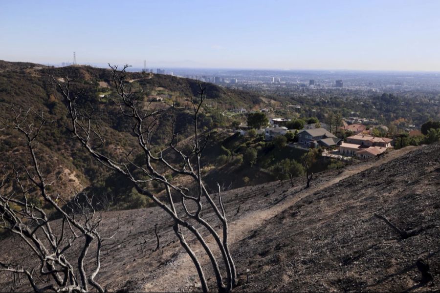 Nach dem Ausbruch der Brände in Los Angeles gibt es auch Kritik an den Behörden.