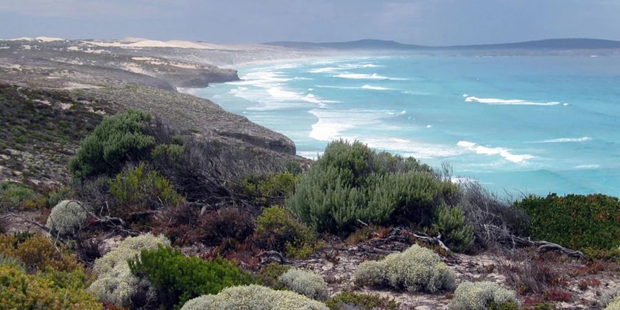 Das Opfer stammt aus dem wenige Hundert Kilometer entfernten Port Lincoln. (Archivbild)