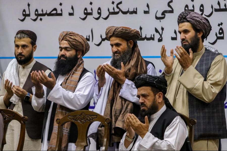 Taliban Chrupalla