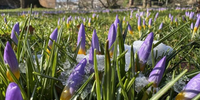 In der neuen Woche wird das Wetter mild. wetter