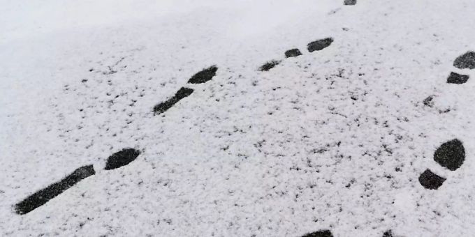 Seit Sonntagmorgen liegt in grossen Teilen der Schweiz wieder Schnee. Schneefall