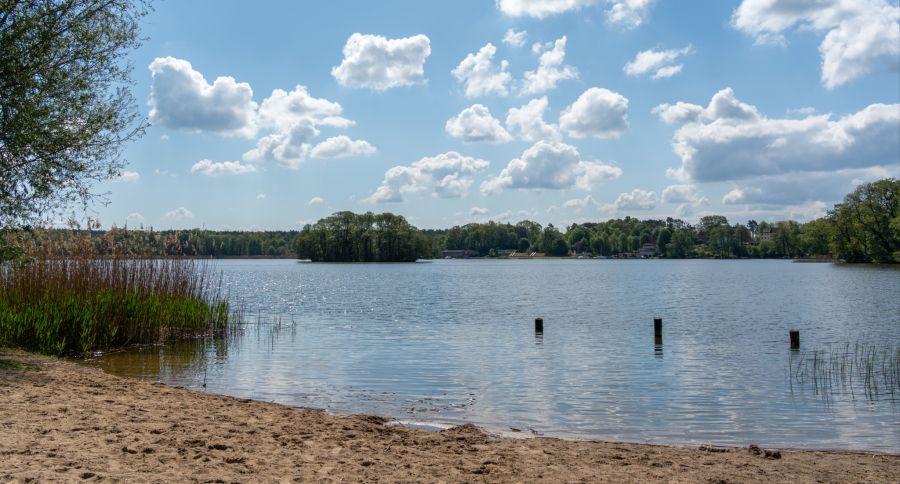 See Brandenburg
