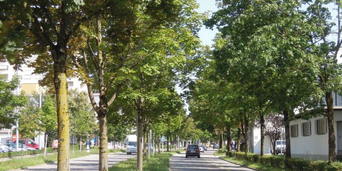 Uster ZH