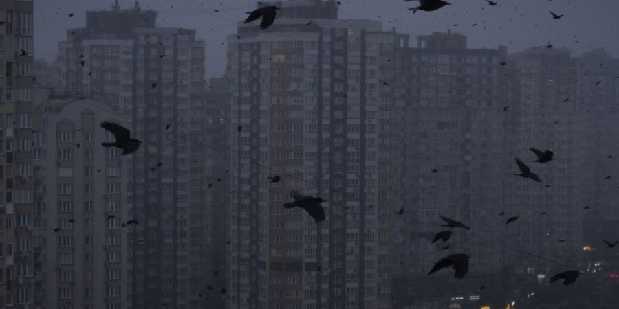 ARCHIV - Krähen fliegen während eines Stromausfalls in Kiew über mehrstöckige Wohngebäude. Foto: Efrem Lukatsky/AP/dpa