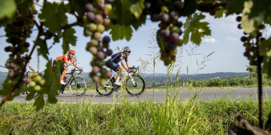 barolo