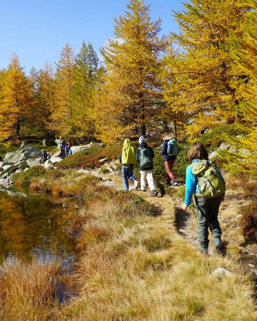 Naturnah: Wanderungen in der Walliser Bergwelt ist für viele Stadtjugendliche etwas Neues.