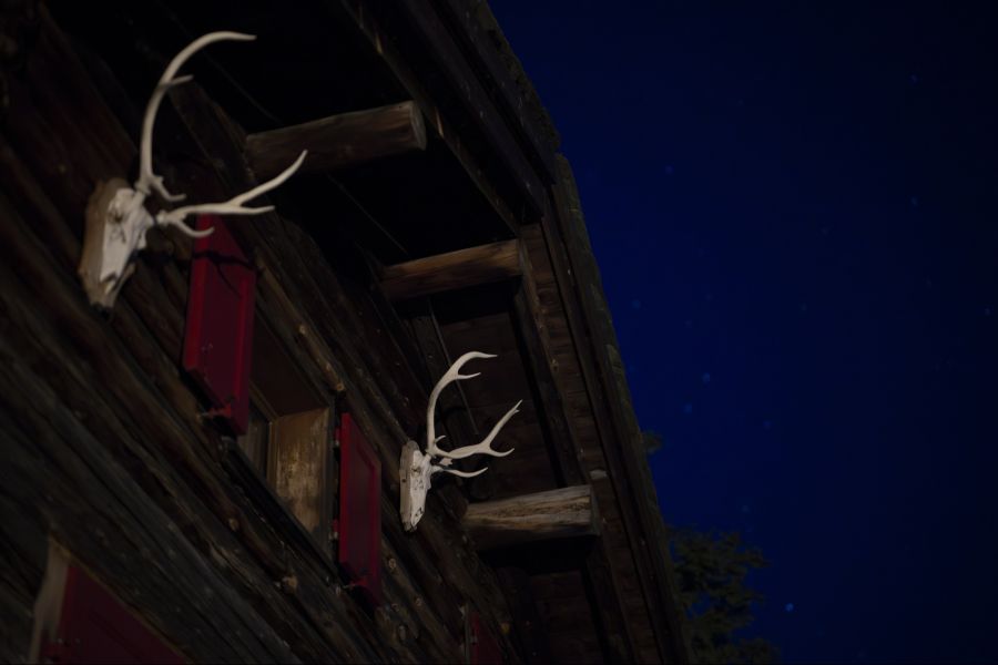 Dabei war er jeweils in der Nacht unterwegs – was illegal ist.