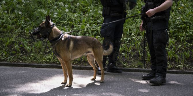 Hund