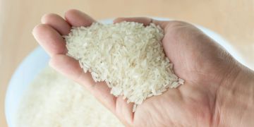 Hand mit Reis