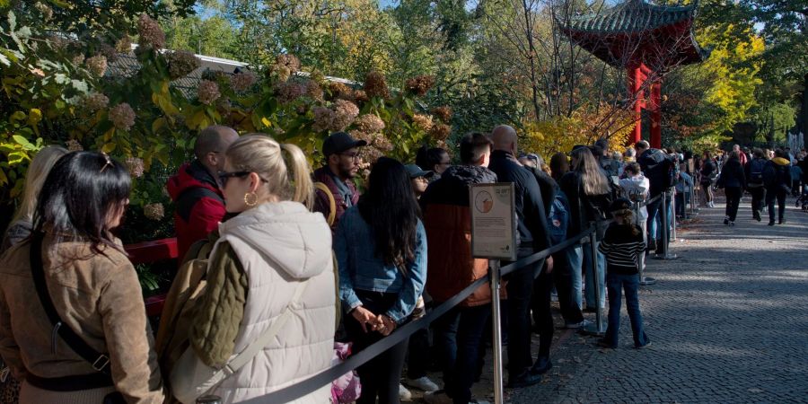 Manch ein Panda-Fan stellt sich sogar zwei Mal in die Schlange.