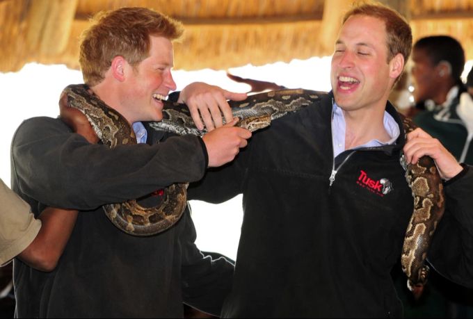 Prinz William und sein Bruder Harry waren schon oft in Afrika. (Archivbild) Prinz Harry Prinz William