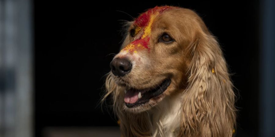 Hunde Tihar Festival Nepal