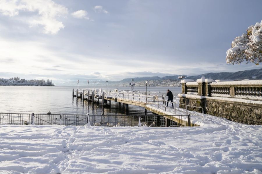 Genau gleich viel Schnee liegt am Freitag Morgen auch in Zürich.