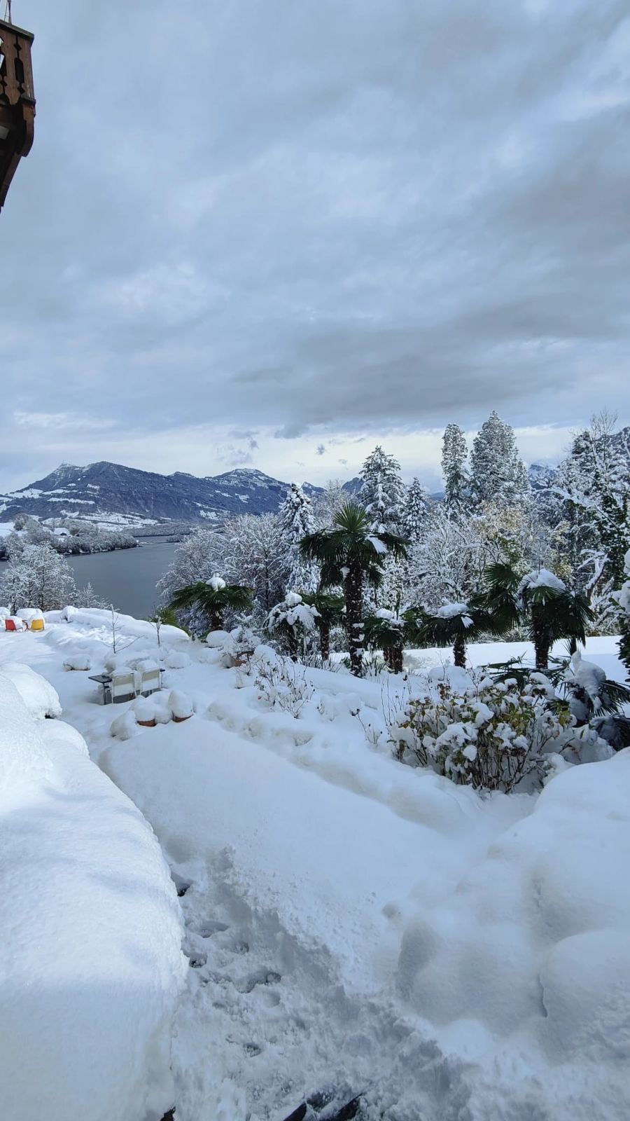 Ein Winterwunderland nahe dem Vierwaldstättersee. Bis am Sonntag bleibt die Landschaft in ein weisses Kleid gehüllt.