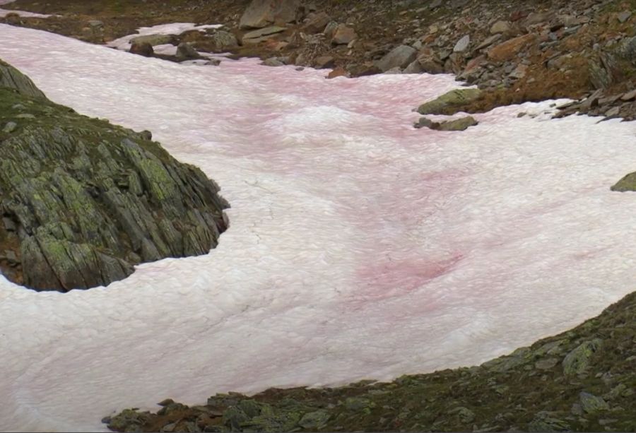 Das Naturphänomen tritt auch in der Schweiz – beispielsweise im Berner Oberland und im Wallis – auf.