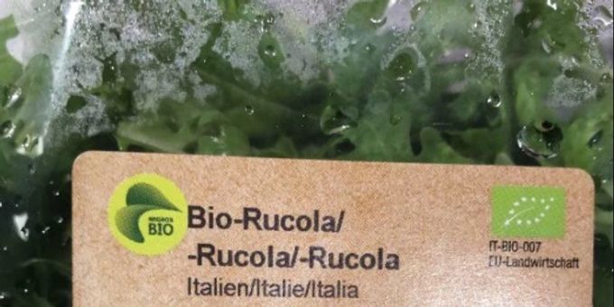 Migros ruft einen Bio-Rucola aus Italien wegen Salmonellengefahr zurück. Bio Rucola migros