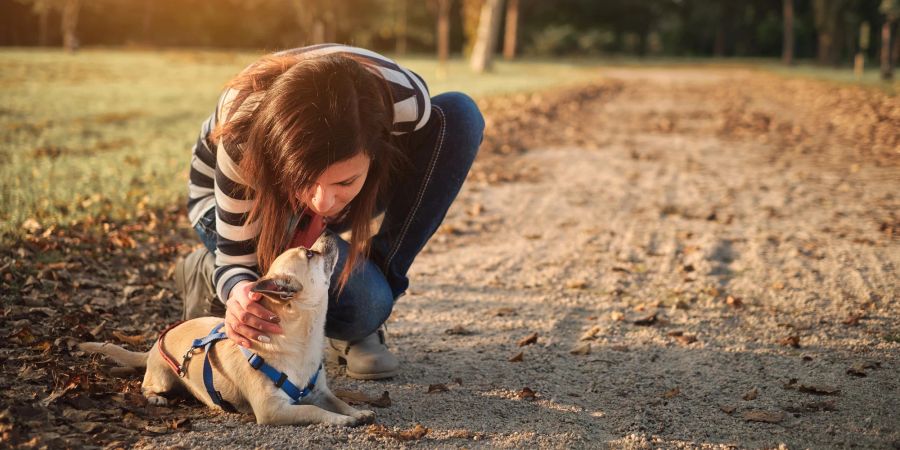 Frau streichelt Hund