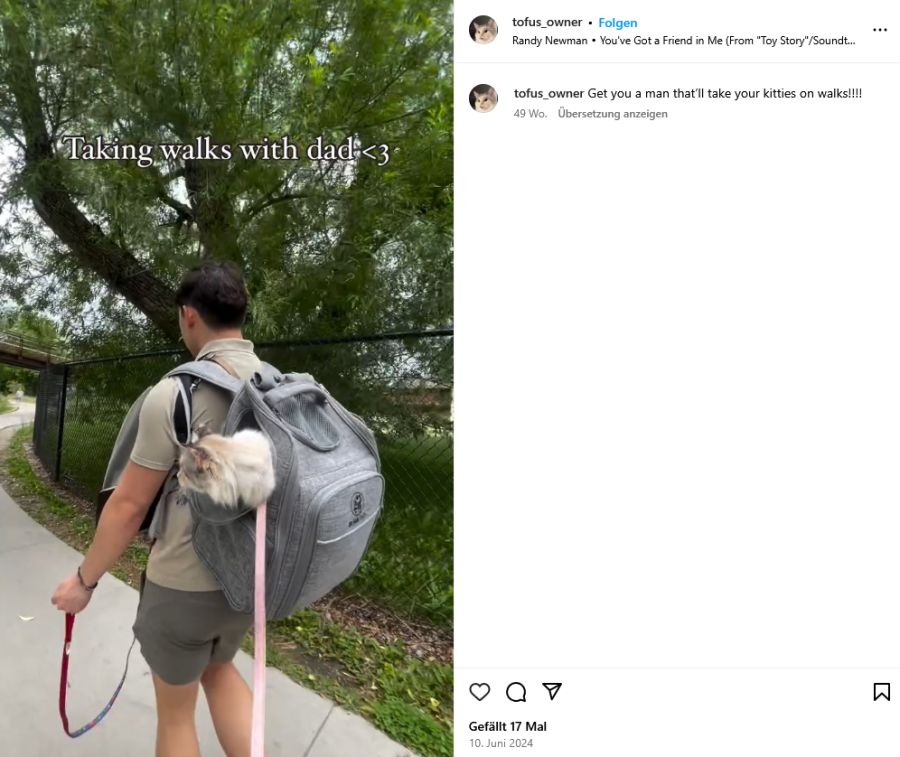 Die Katze ist auch auf Wanderungen mit dabei.
