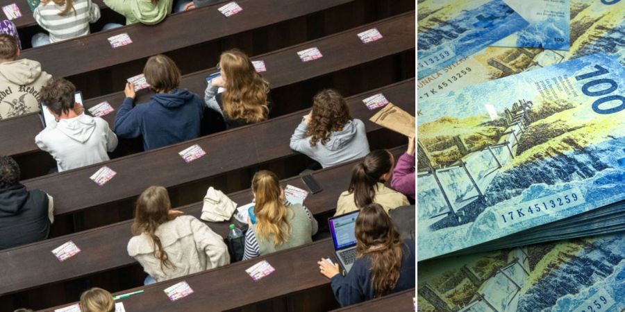 berner student fälschung attest