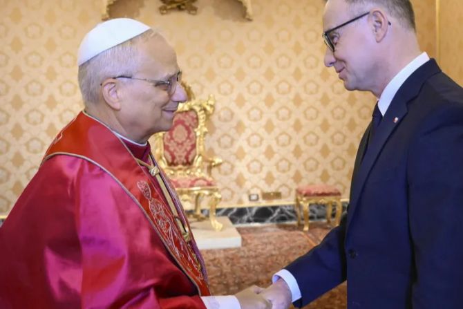 papst leo duda