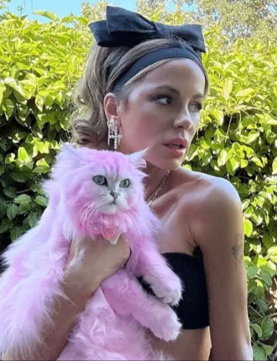Kate Beckinsale und Katze