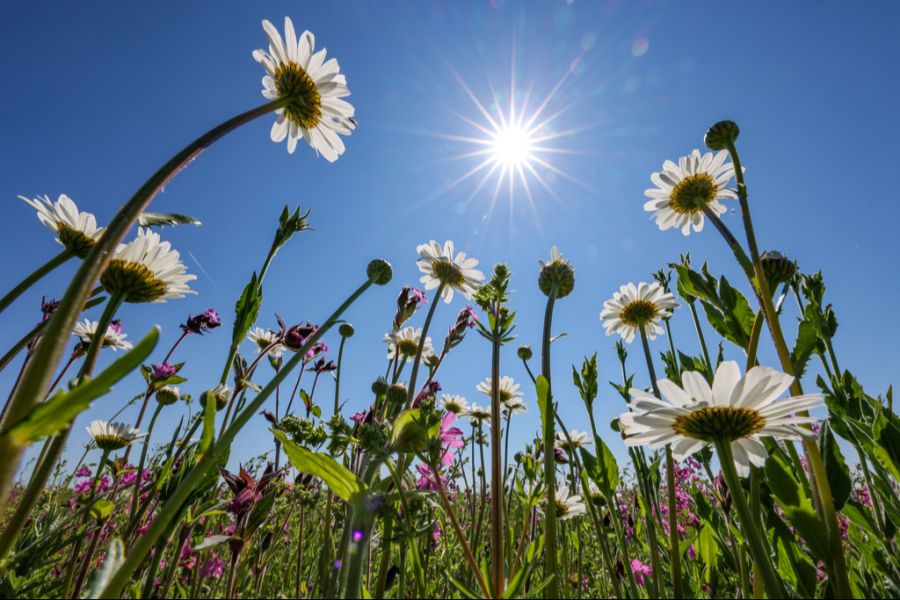 Vor allem am Freitag und Samstag ist es meist sonnig und heiss.