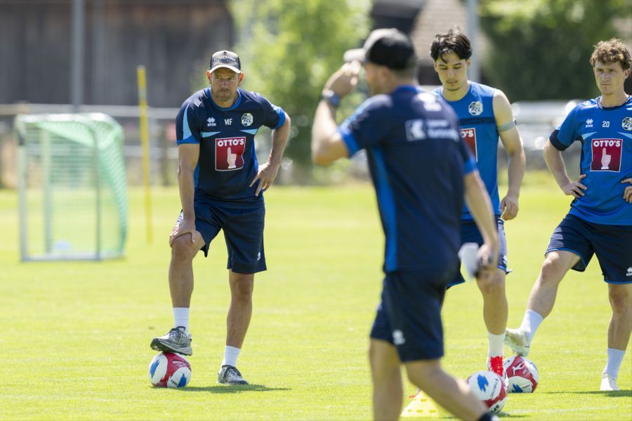 Mario Frick FC Luzern