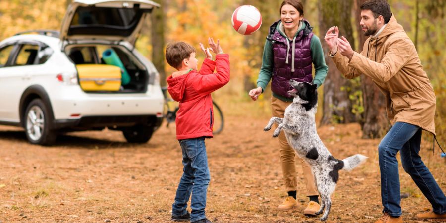 Familie spielt mit Hund