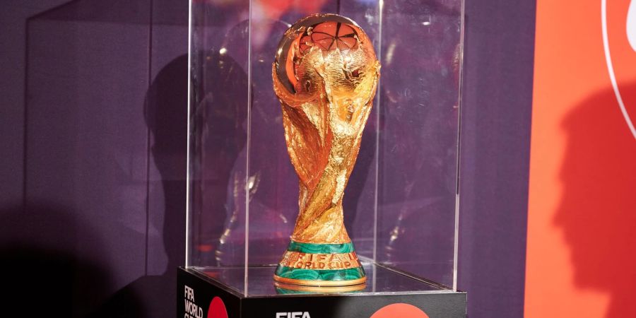Berechnungen sagen voraus, dass die Brasilianer den WM-Pokal in Händen halten werden.