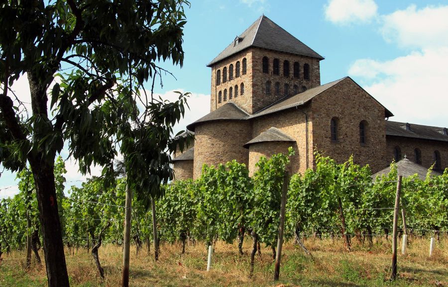 Basilika Reben Wein Schloss