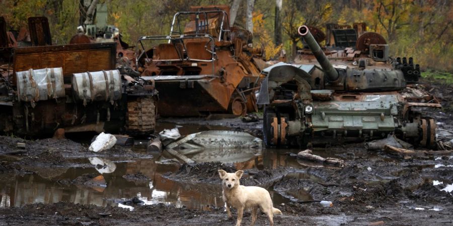 Die Ukraine hat an mindestens vier Frontabschnitten Gegenangriffe durchgeführt.