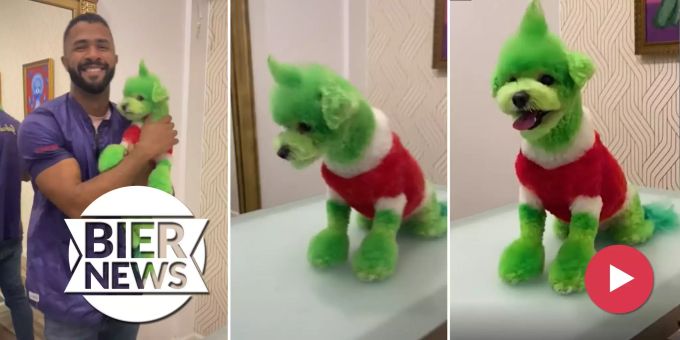 Grüne Verwandlung - Vierbeiner wird beim Hundefriseur zum Grinch