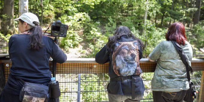 Menschen im Wildnispark Zürich. wildnispark zürich
