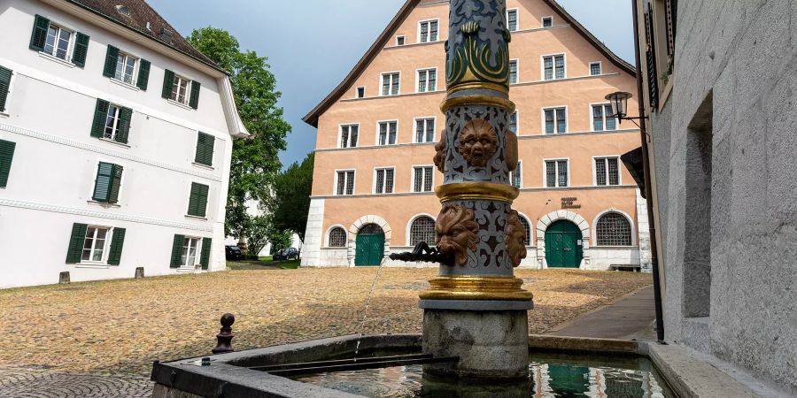 Stadtbrunnen am Zeughausplatz in Solothurn.