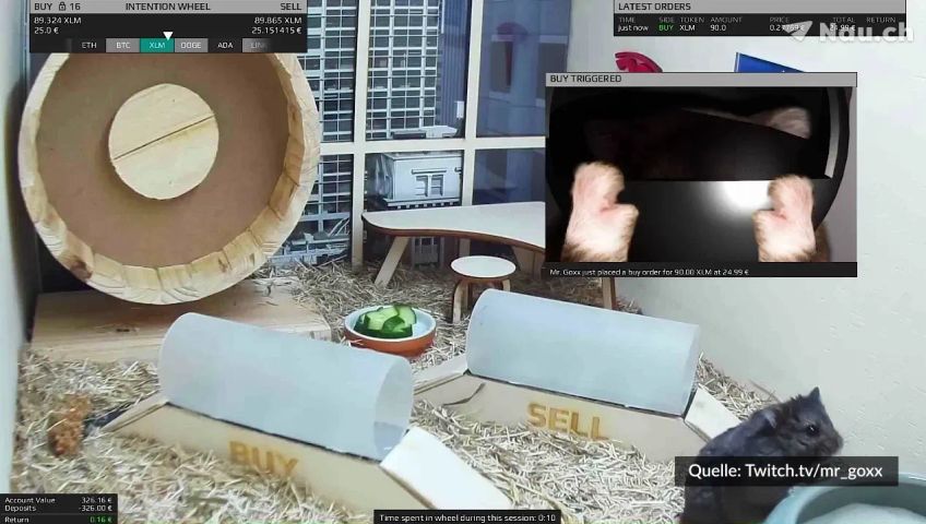 hamster-handelt-mit-kryptowahrung