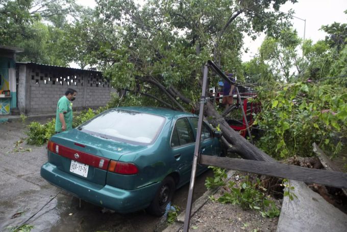 Ein Baum ist auf ein Auto im mexikanischen Bundesstaat Michoacan gestürzt. Rick