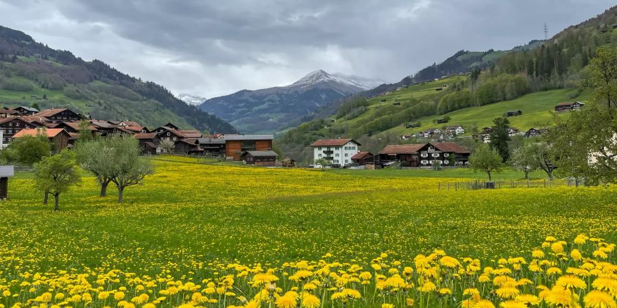 Landschaftsfoto Jenaz.