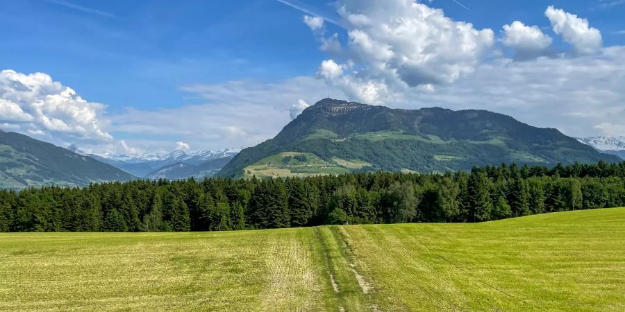 Ein Landschaftsfoto von Meierskappel.