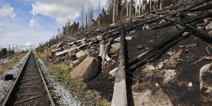 Wernigerode - Brand am Brocken: Letzte Glutnester werden gelöscht
