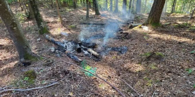 Feuerwehreinsatz wegen brennendem Waldboden.