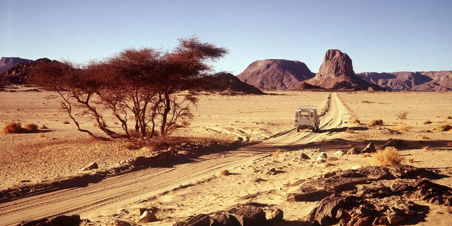 Die Sahara in Algerien: Durch die Wüste könnte eine Erdgas-Pipeline nach Europa verlegt werden.