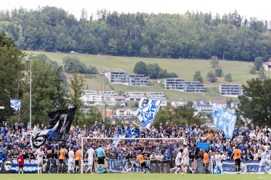 Zahlreiche Luzerner Anhänger verfolgen die Partie vor Ort.