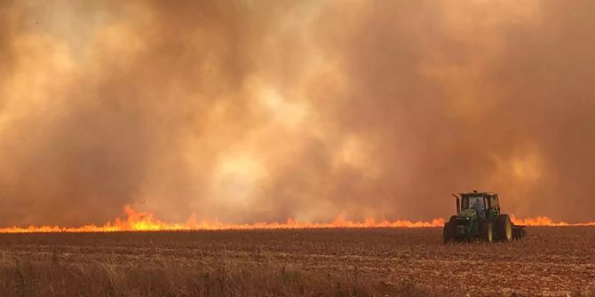 Brasilien Waldbrand