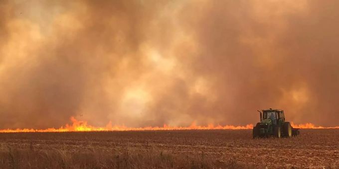 Die Waldbrände zerstören weite Teile des Amazonas. Brasilien Waldbrand