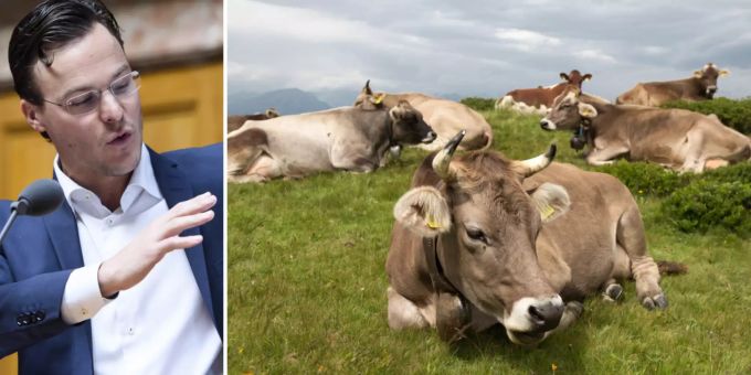Fürs Klima - Linke wollen Bauern jede vierte Kuh wegnehmen