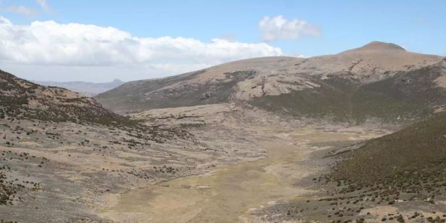 Die gebirgige Landschaft im Bale-Mountains-Nationalpark. Menschen haben in Äthiopien schon wesentlich früher als gedacht Bergregionen besiedelt. Foto: Götz Ossendorf