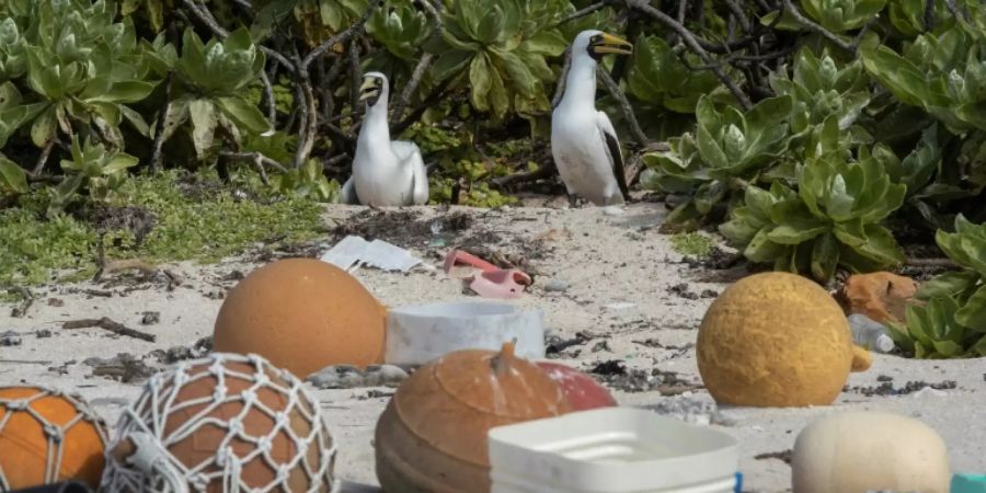 Plastikmüll im Naturparadies