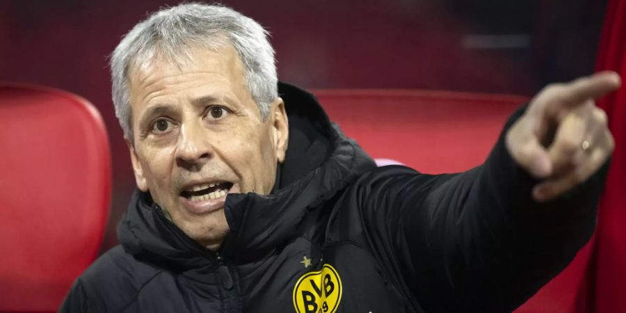 BVB