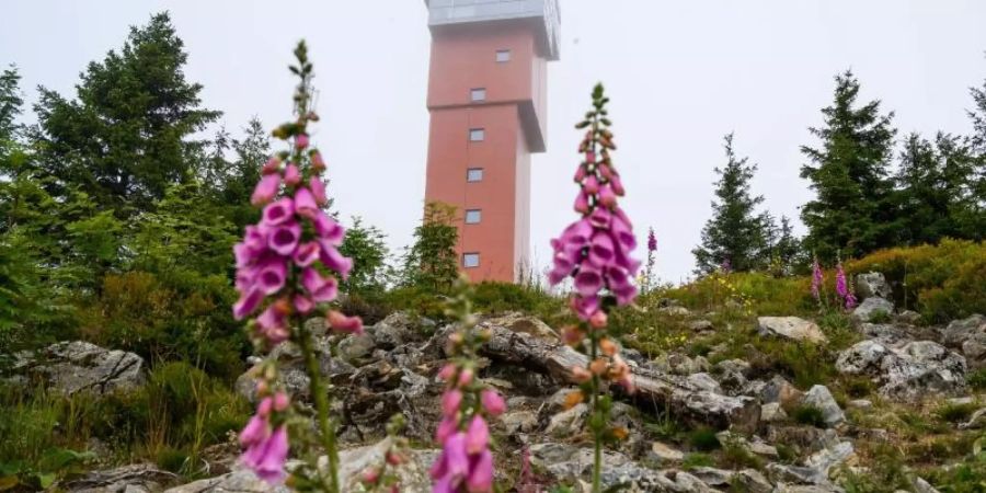 Die Aussichtsplattform des neuen Metallturms befindet sich 1000 Meter über dem Meeresspiegelund soll Mitte August offiziell eröffnet werden. Foto: Christophe Gateau