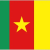 Cameroon W Logo